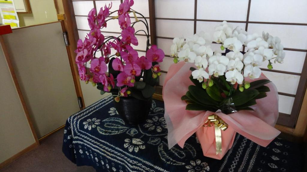 Matsunoi Ryokan คุซาสึ ภายนอก รูปภาพ